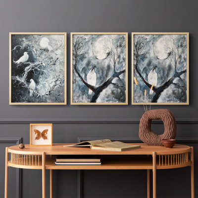 Aviary Study  Series  III  -Set Of 3 Framed Giclee Prints -Ready to Hang