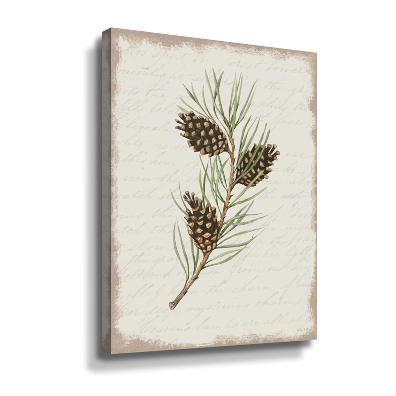 " Pine Cone Botanical I ", 10" H x 8" W x 2" D, Wrapped Canvas