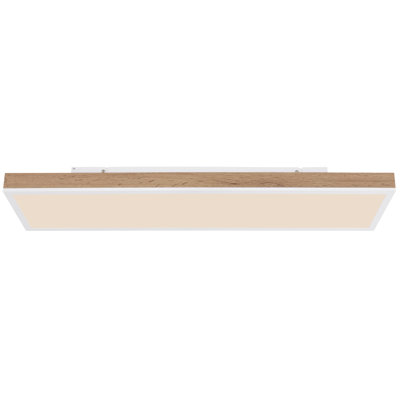 Chaquille Plastic LED Flush Mount