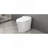 Smart Toilet With Built-In Heated Seat