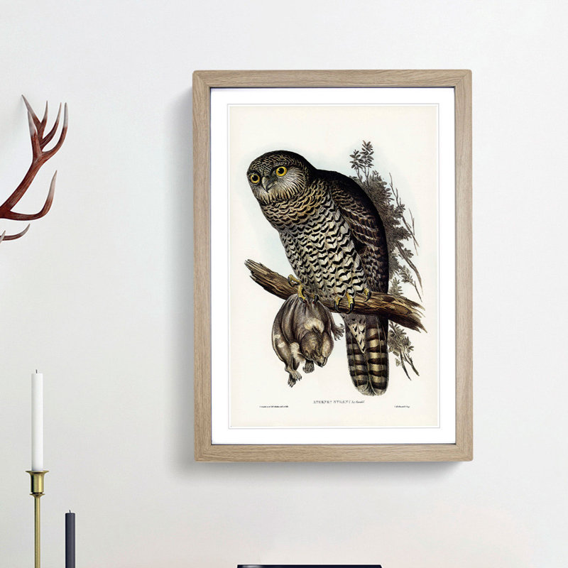 Powerful Owl by Elizabeth Gould - Picture Frame Painting Print, Oak Framed, 48cm H x 36cm W x 2cm D