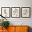 Neutral Botanical Study I - Ensemble de 3 reproductions d'art sur toile-1870357601-1870357657