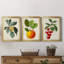 "Antique Foliage & Fruit VI", ensemble de 3 impressions sur toile encadrées-2090051246-2090051244