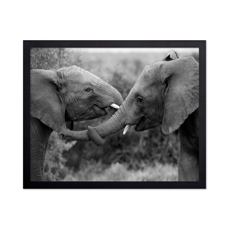 Éléphants bienveillants, Sans cadre, Affiche, H 08 po x l 10 po