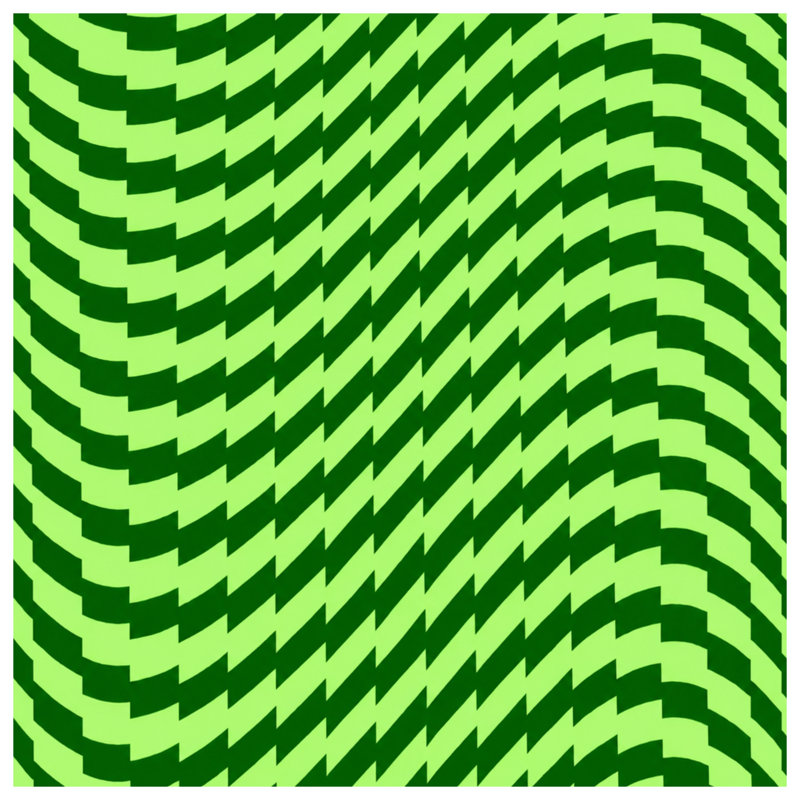 Coussins décoratifs vert à motif d'illusion optique double face, 20 x 20 pouces