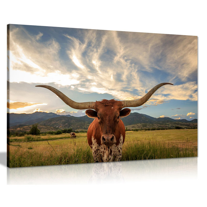 Cow Prints Longhorn Steer Animal Wildlife - Wrapped Canvas Print, 41cm H x 61cm W