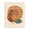 Happy Thanksgiving Festive Orange Wild Turkey Patterned - Print