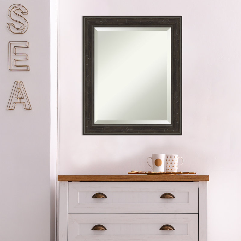 Mcbrayer Flat Mirror, 24" x 20", Dark Bronze