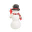 Blanc bonhomme de neige majestueux