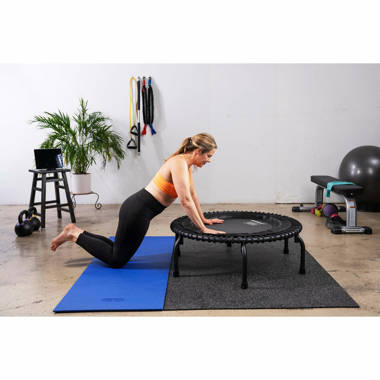 JumpSport 370 Home Gym 39 Heavy Duty Fitness Trampoline with 4-In-1 DVD,  Black