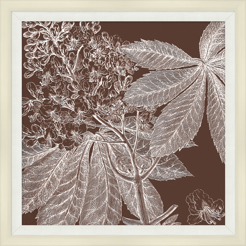 Brown Briar 1 Print