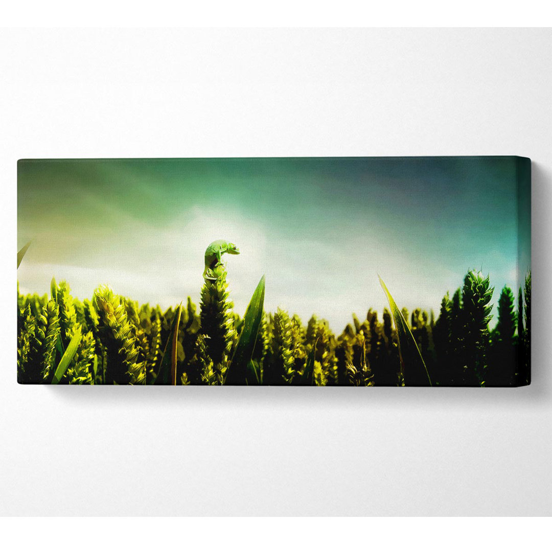 Eidechsenbarsch - Kunstdrucke auf Leinwand - Wrapped Canvas