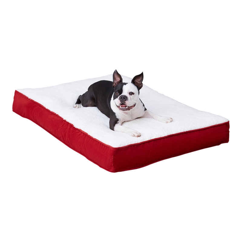 Lit pour chien avec coussin de soutien, Cramoisi, Moyen (l 42 po x P 30 po x H 4 po)