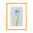Toile avec cadre en bois beige est en rupture de stock