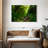 Forest Stream-1705934037-1705934040
