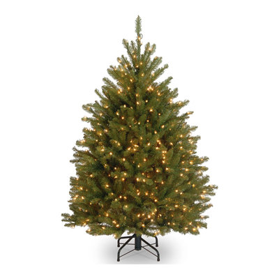 Dunhill Fir Tree with Clear Lights
