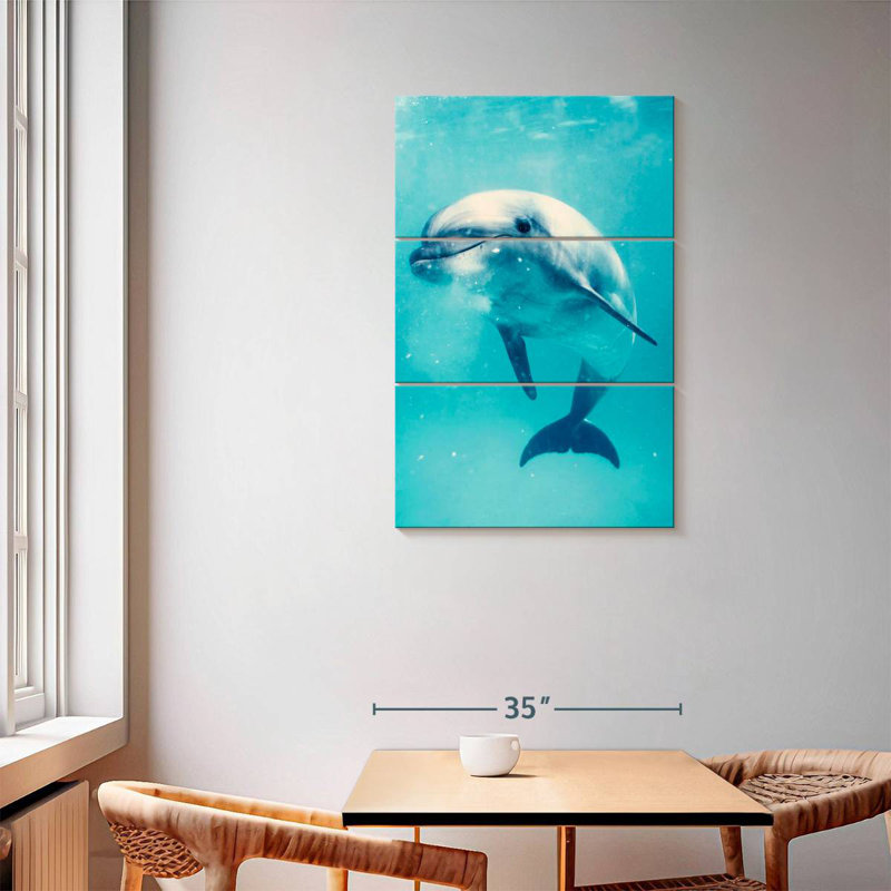 Brampt Bottlenose Dolphin Underwater, 57'' H x 36'' W