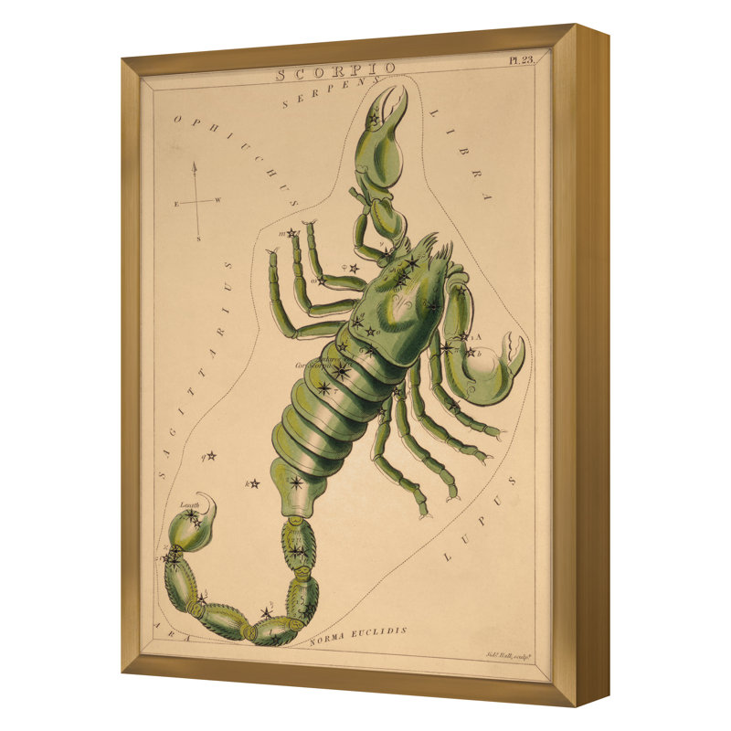 Scorpio Print by Grand Archives, 32" H x 23" W, Gold Framed