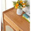Armoire de rangement simple à chaussures en rotin-179638340-177276151