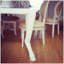 Faline Dining Table