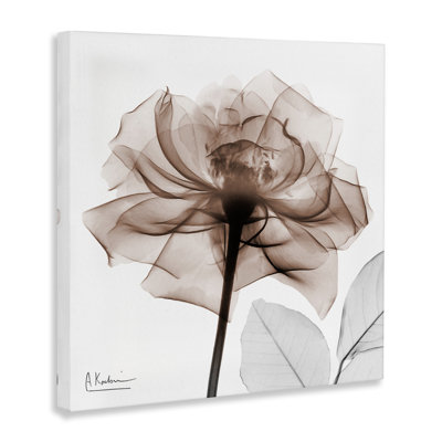 Minimal Mocha Rose Canvas Wall Art, design by Albert Koetsier