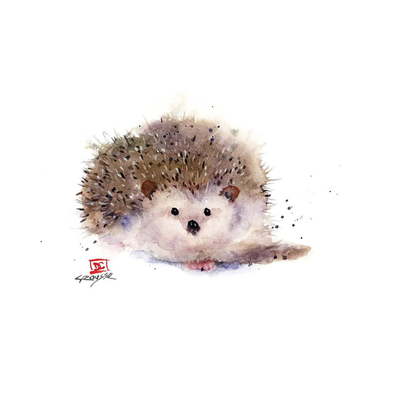 Hedgehog - Wrapped Canvas Print, 20.32cm H x 30.48cm W