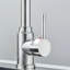 Belfry Kitchen Schunemunk Pull Down Kitchen Faucet