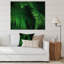 Fougère vert foncé sur fond noir - photographie sur toile-67386315-67386309