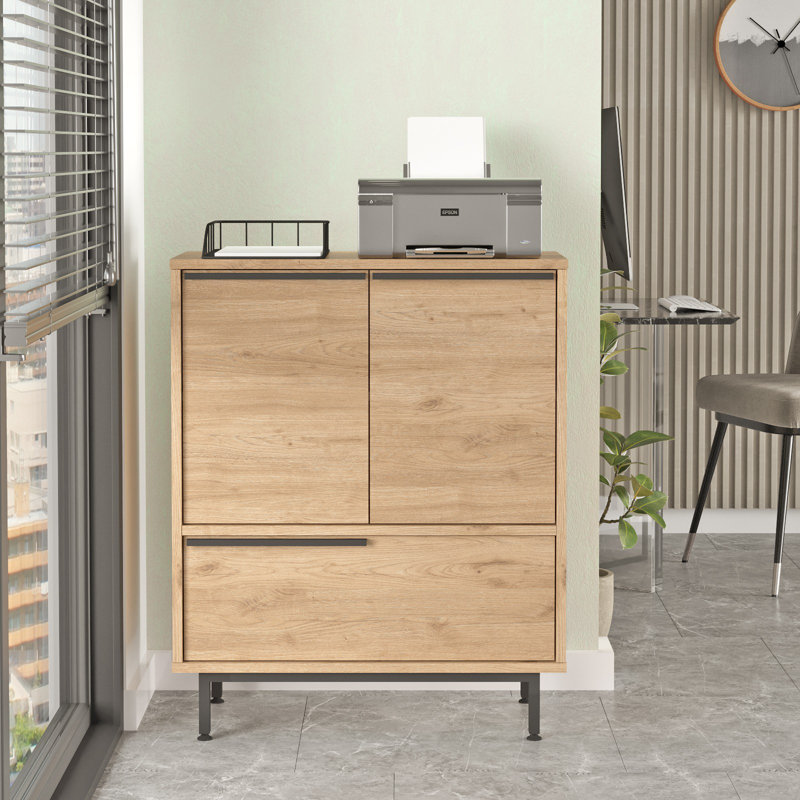 Armoire polyvalente Colesen