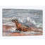 « sea lion », impression sur toile-33109784-72407057-72407051