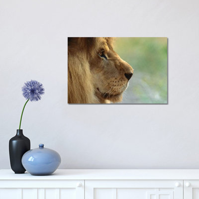 African Lion Male Portrait by ZSSD - Wrapped Canvas Print