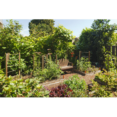 Jardin luxuriant par Chuckcollier