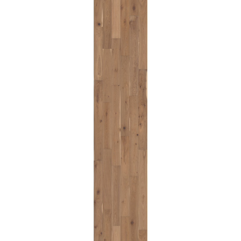 Parquet en bois d'ingénierie brossé filaire, Blanc