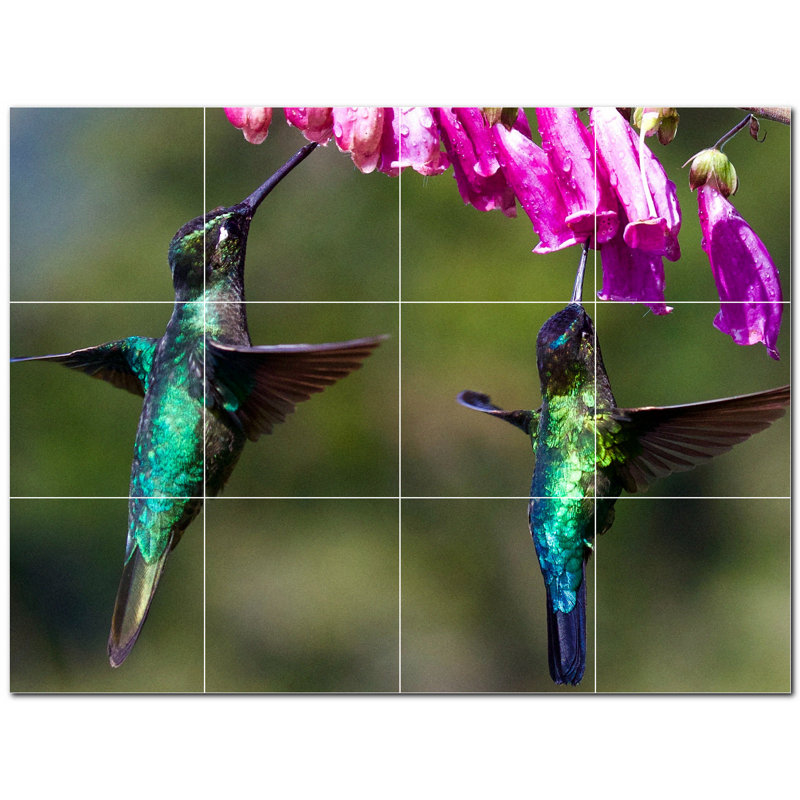 8 x 8