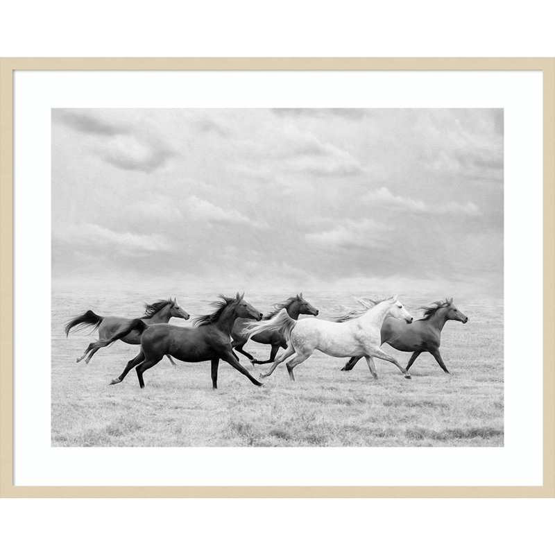 Horse Run I by PHBurchett, Brown, 33" H x 41" W