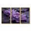 Ensemble d'art mural Saltzman - Lotus-107214497-107214501