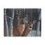 «Deer Magic» Armstrong, impression sur toile tendue-27643529