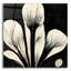 «Flowers Black White 13» par Ray Heere-2093346381