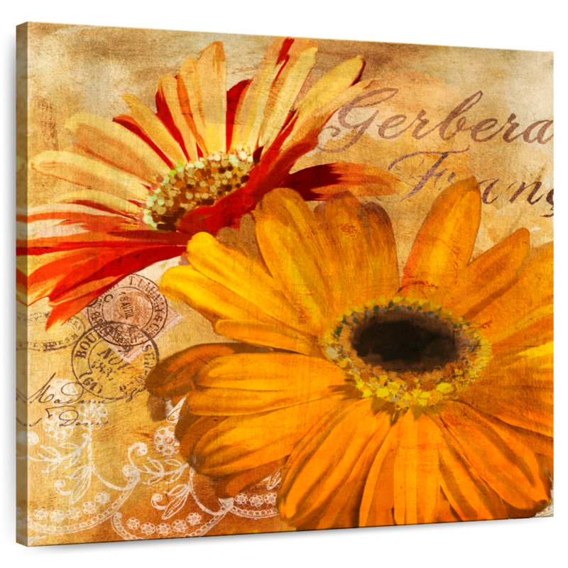 Golden Gerbera I, H 20 po x l 20 po