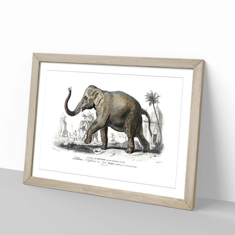 Asian Elephant 1 Piece Single Picture Frame Painting, 45cm H x 63cm W x 2cm D, Oak