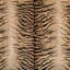 Trad Nouveau Provocative Fabric-76892292