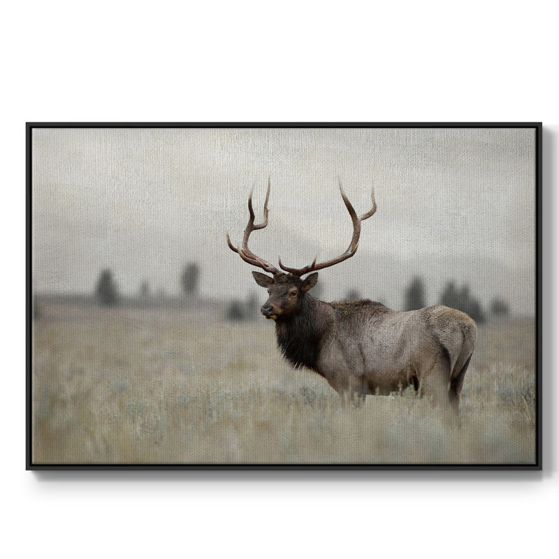 Grand élan encadré sur toile, H 17 po x l 25 po x P 2 po, Noir