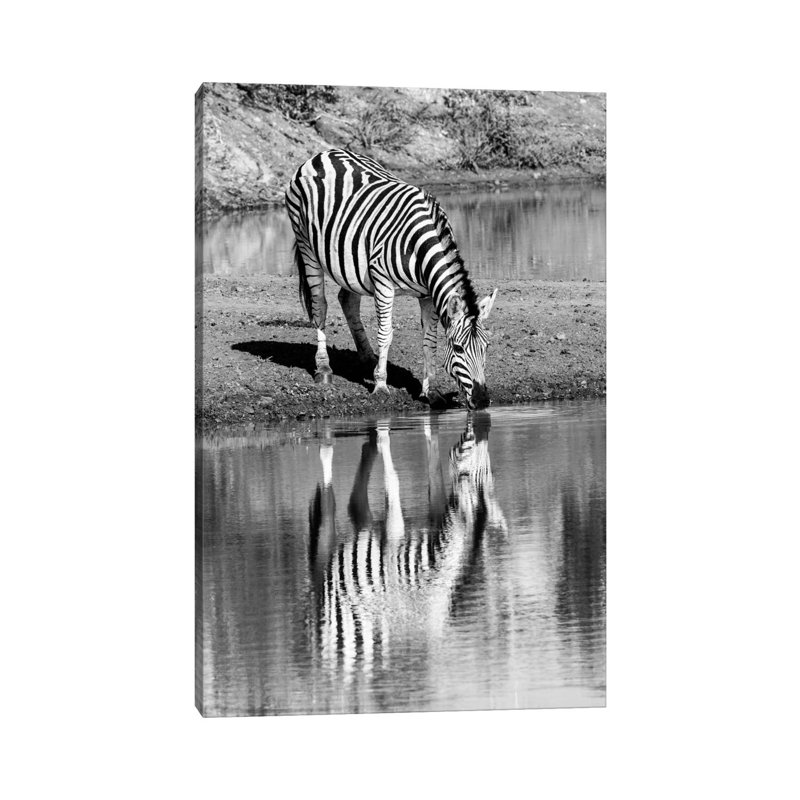 Zebra By The Water by Anders Jorulf - Wrapped Canvas Print, 20.32 cm H x 30.48 cm W