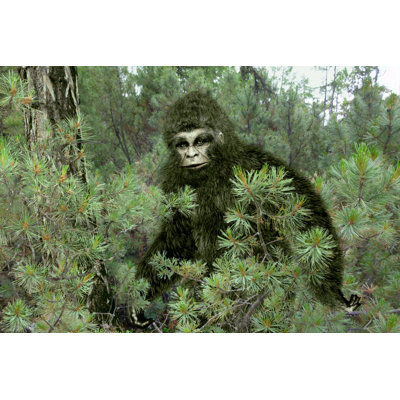 Bigfoot, yéti - impression sur toile tendue
