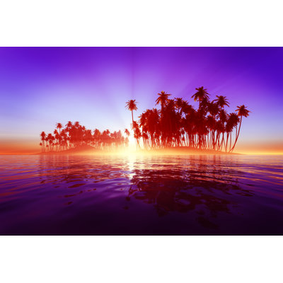 Coconut Island - Wrapped Canvas Print
