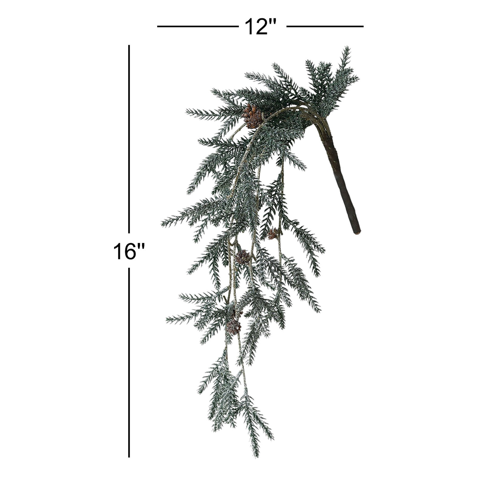 Snow Pine Stems