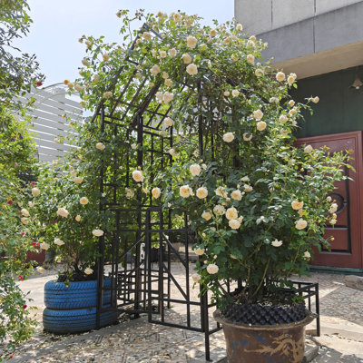Outdoor Black Metal Garden Arch With Gate, Dimensions W57.79*H96.37, Suitable For Ivy And Jasmine, Galvanized Powder - Coated Rust Resistance, Pre Cut Easy Setup, Centerpiece Arch, , Vines, Tube,