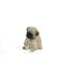 Statue chiot endormi