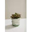 Eliana Pot 6"x 6"