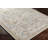 Anikyn Almendares Oriental Machine Woven Polyester Area Rug in Gold-70926910